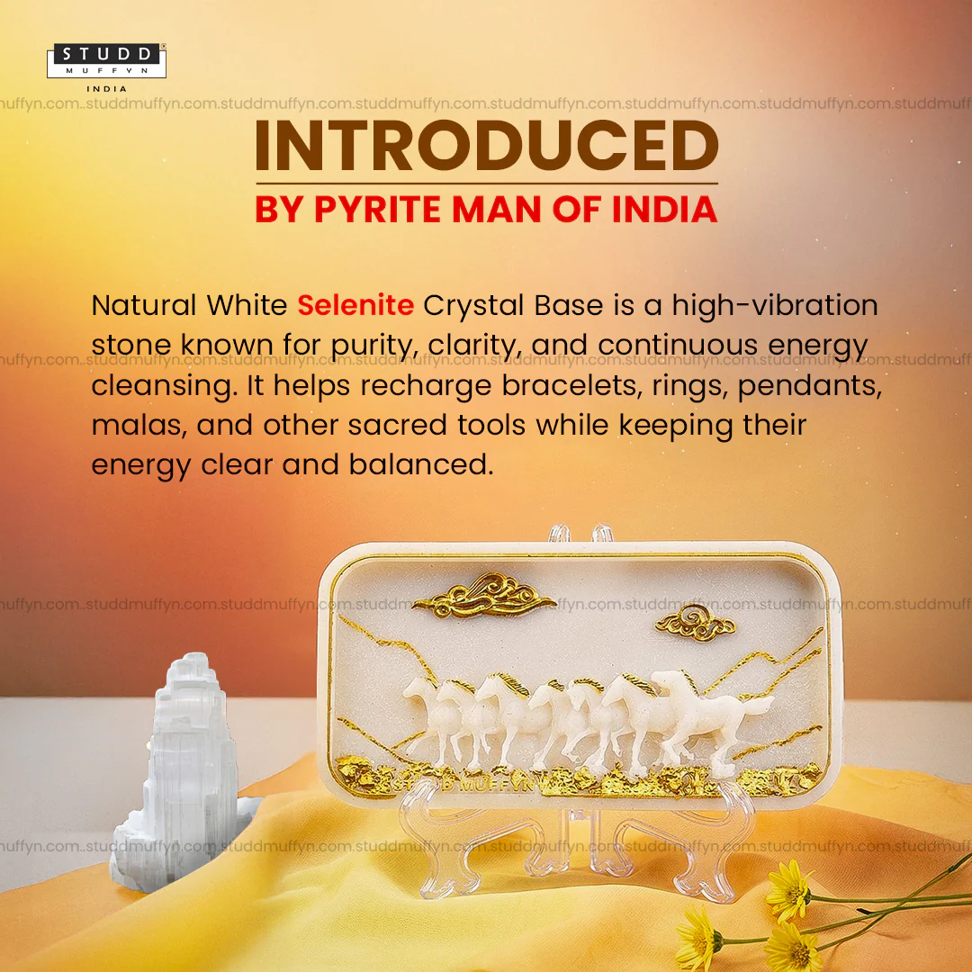 7 Horses Vastu Shakti Selenite Plate - Image 4