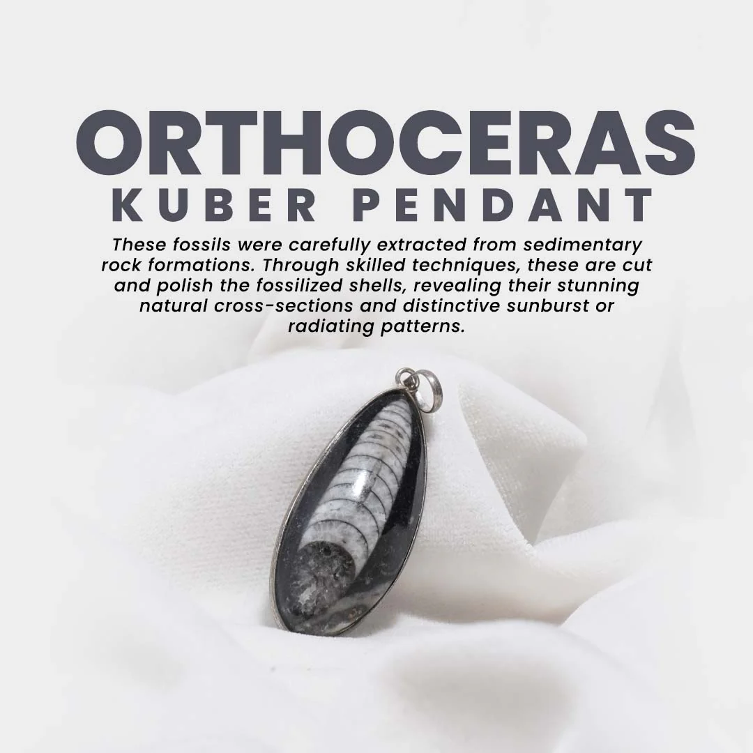 All-Natural Orthoceras Kuber Pendant - Image 3