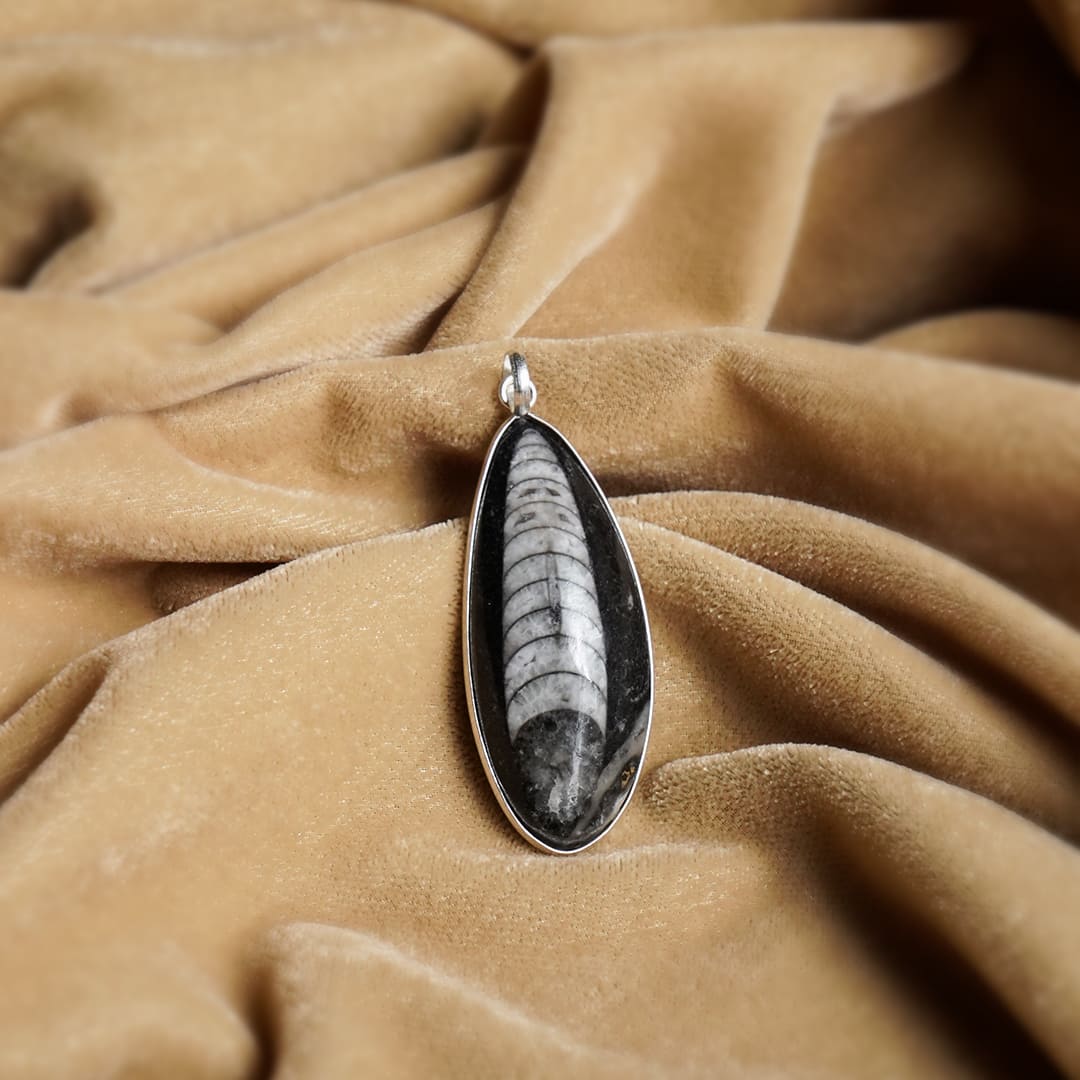 All-Natural Orthoceras Kuber Pendant - Image 6