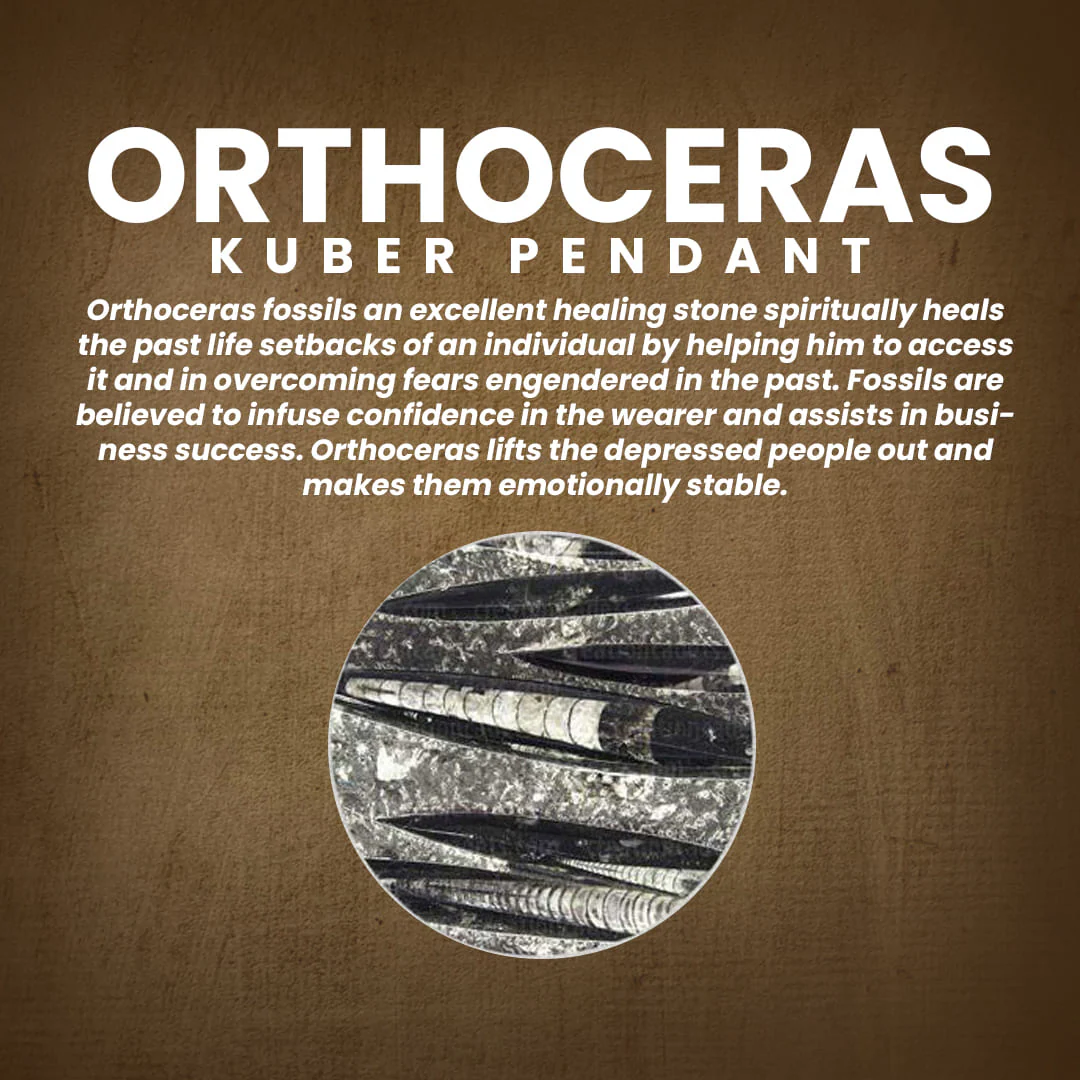 All-Natural Orthoceras Kuber Pendant - Image 7