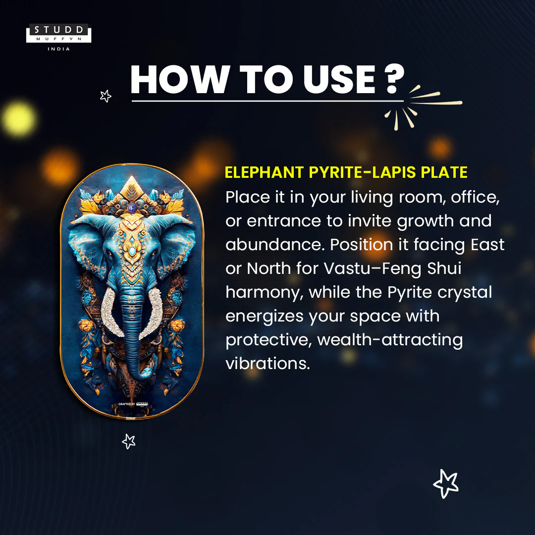 Elephant Pyrite-Lapis Plate [Capsule Frame] - Image 5