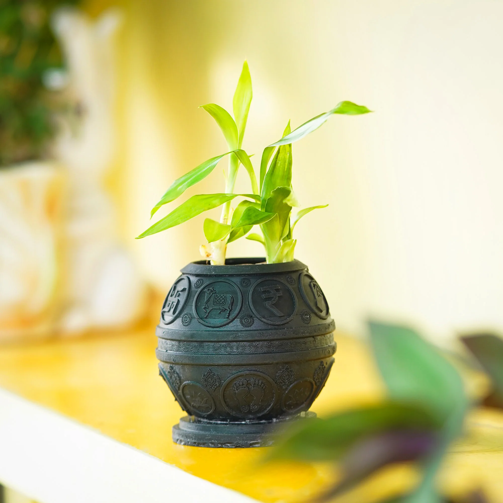 Money Pyrite Planter - Image 3