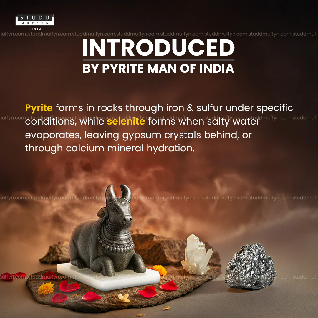 Pyrite Nandi Ji on Selenite Base - Image 3