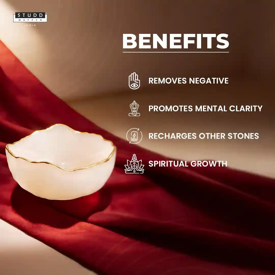 Money Bowl - Image 5