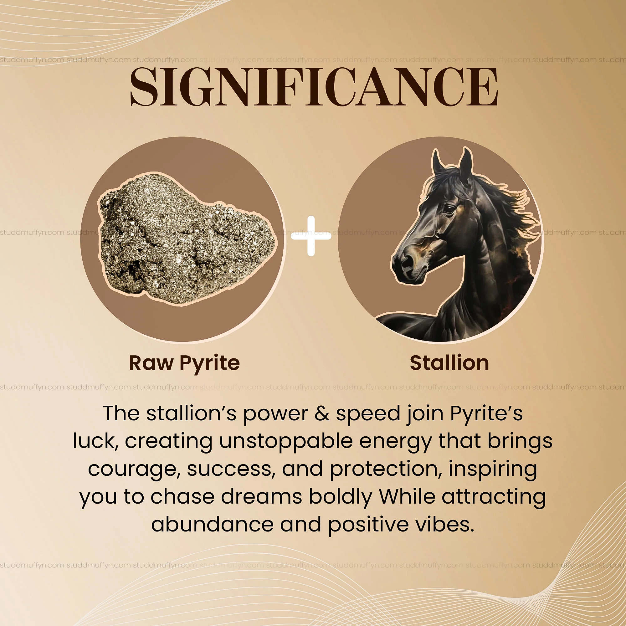 Pyrite Stallion By Studd Muffyn - Image 3