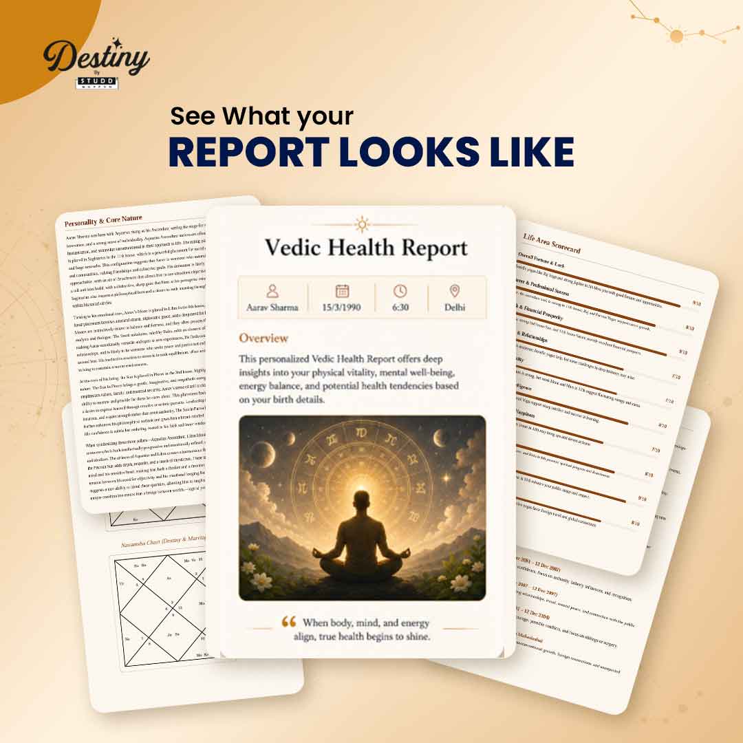 VEDIC HEALTH REPORT - Image 8